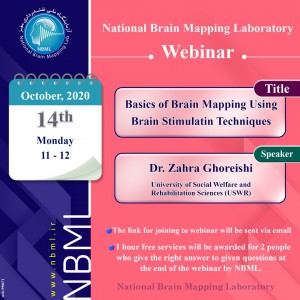 Basics of Brain Mapping Using Brain Stimulation Techniques